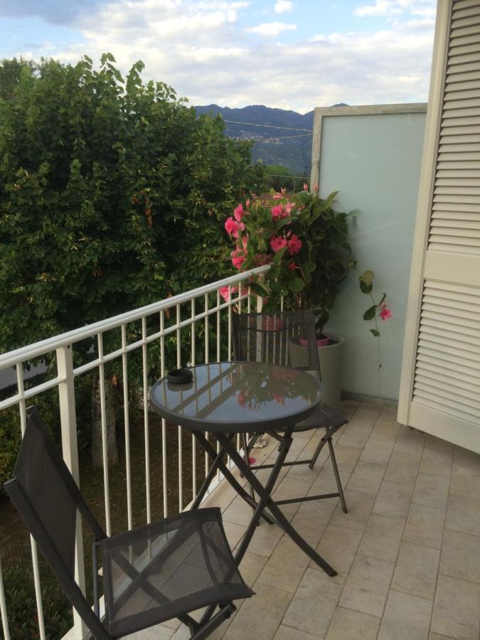 La Brise Otel Marina di Pietrasanta Dış mekan fotoğraf